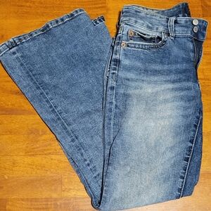 Aero Blue Jeans, Size 2 Short